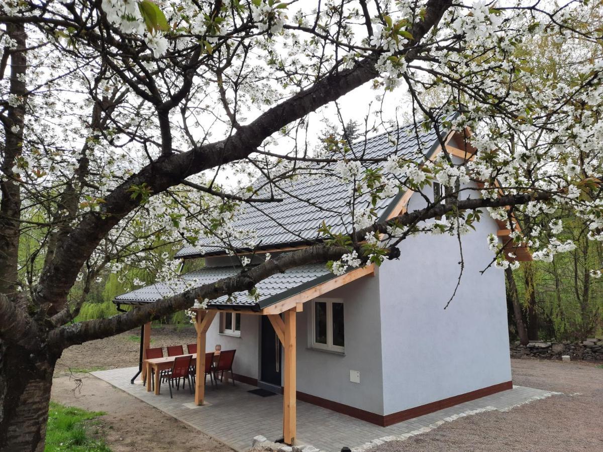 Noclegi Rozanka Radomierz Esterno foto